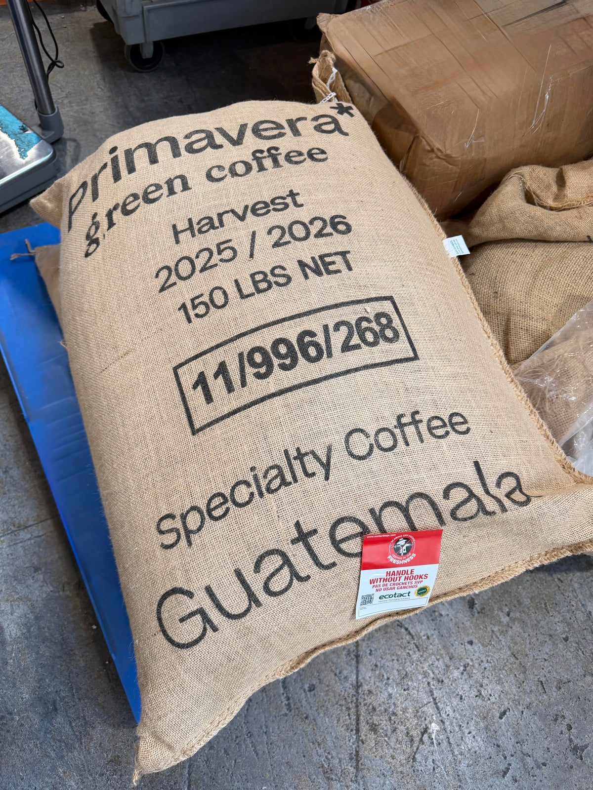Antigua - Guatemala