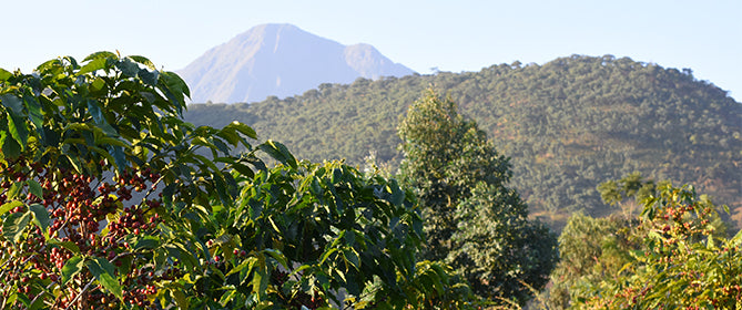 Arusha - Tanzania - 10/13/25